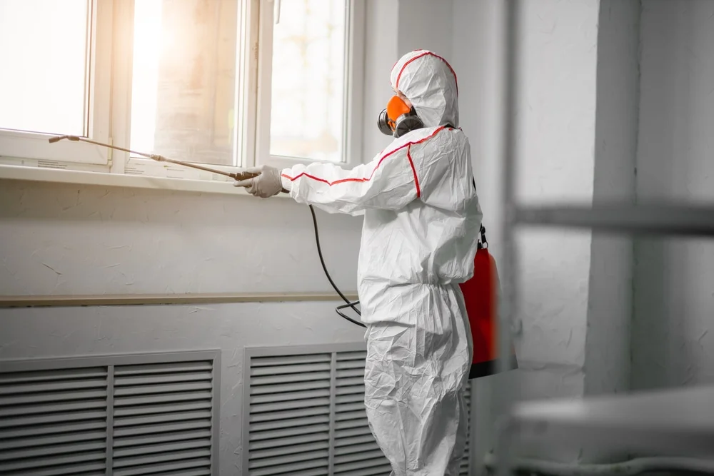 Professional mold remediation services in Alleyton, TX